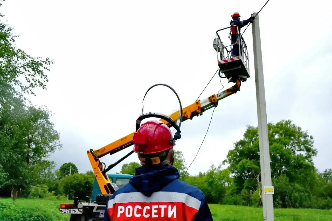 В Ярославской области обновили более 120 км электросетей перед осенне-зимним сезоном