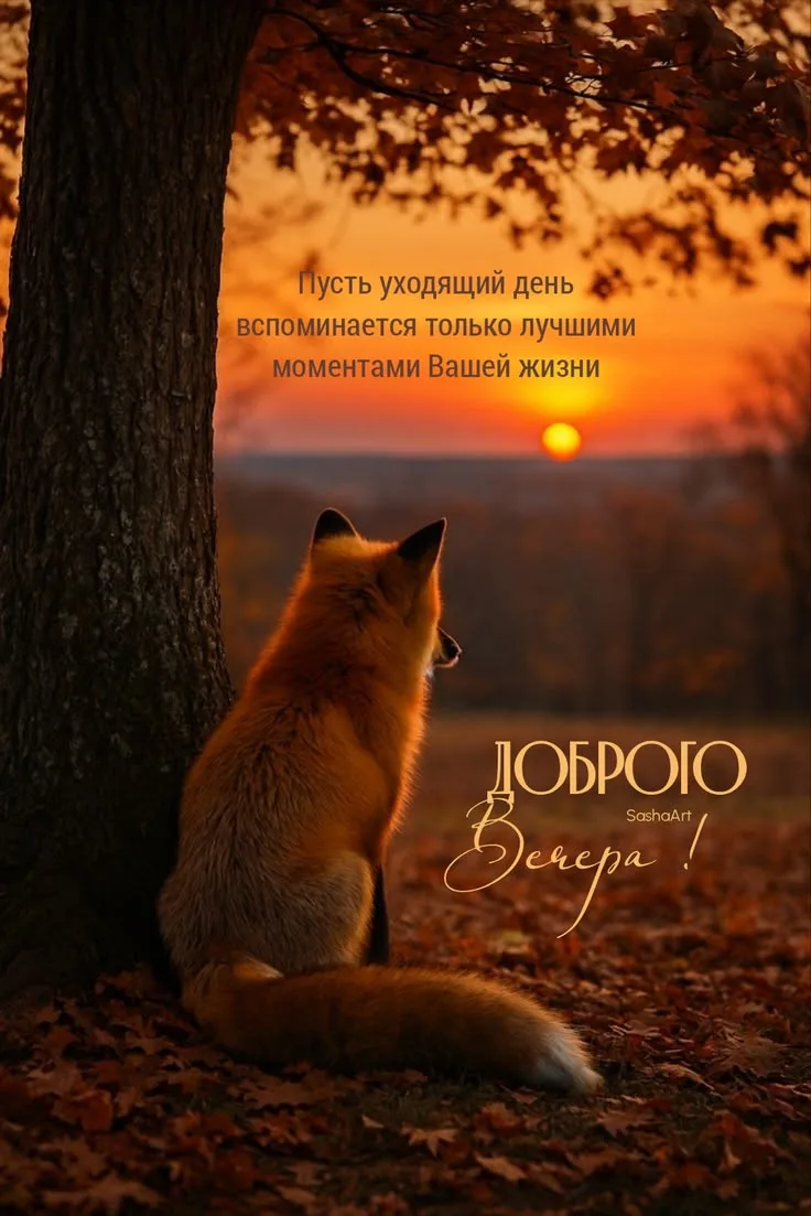 https://max.ru/invista123456