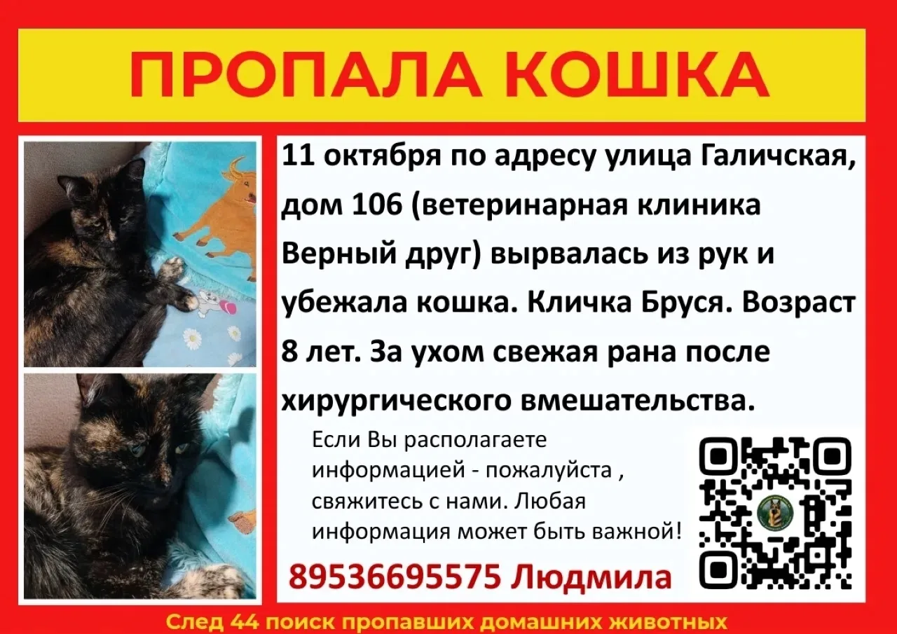 https://max.ru/channel_dtpkostroma