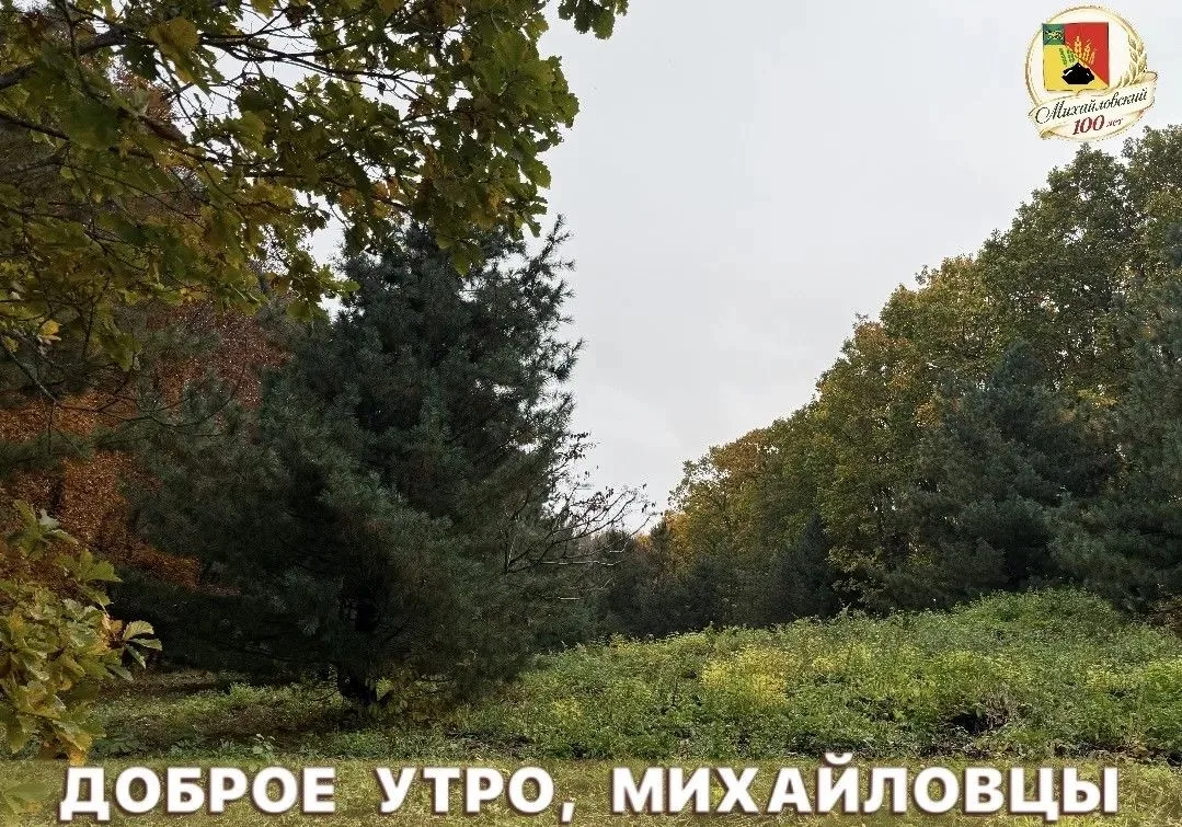 Доброе утро!