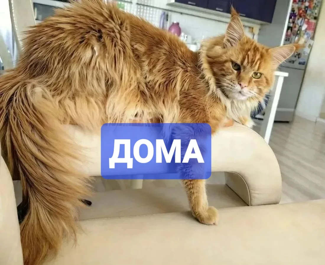 ❗️ДО СИХ ПОР ИЩЕМ