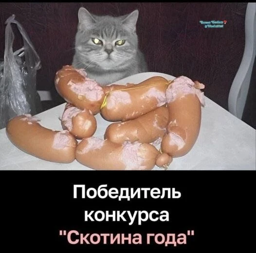 АбсолютнОй чемпион!