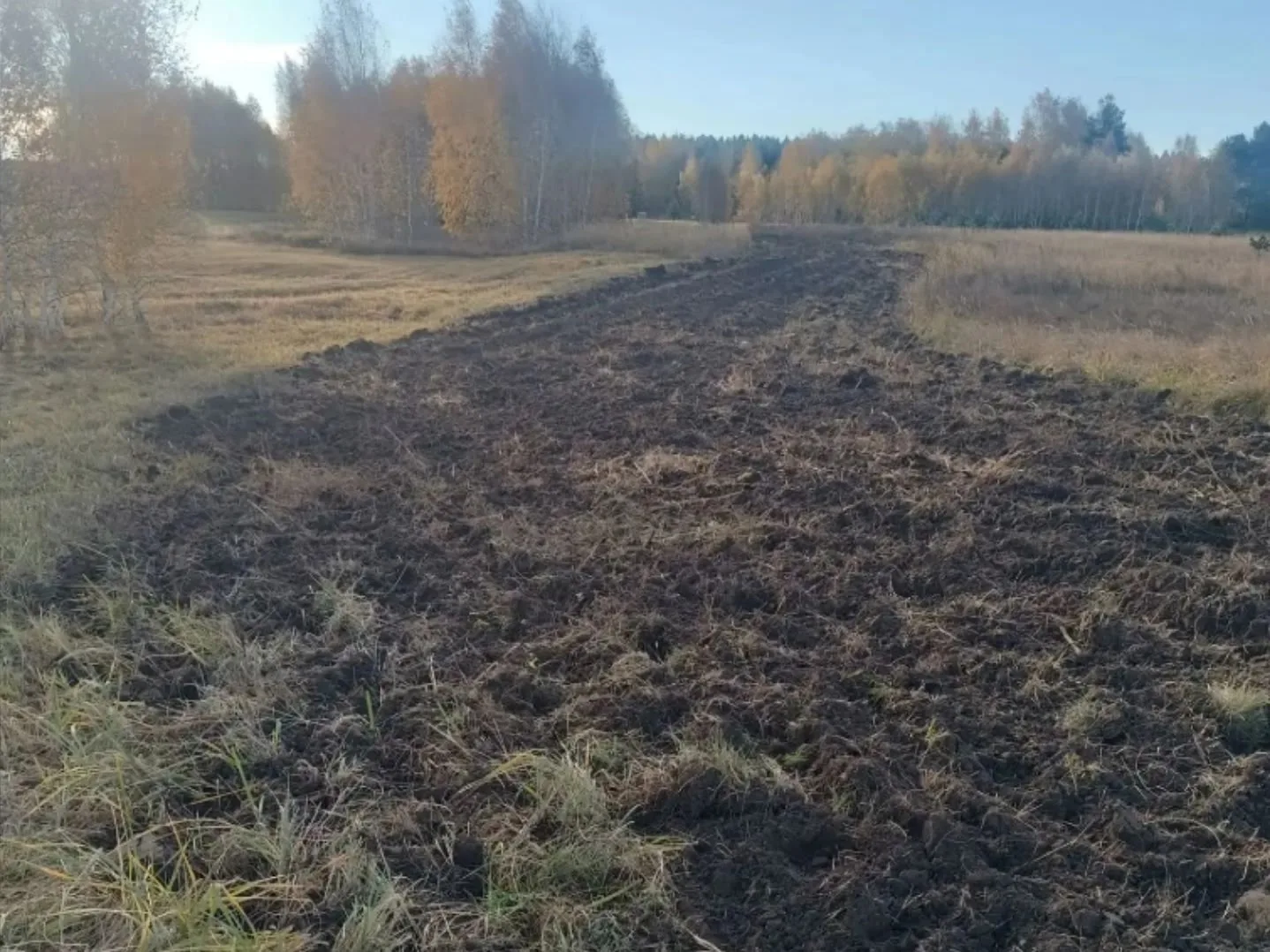Забота о природе - это непрерывный процесс, который требует постоянного внимания и учас...
