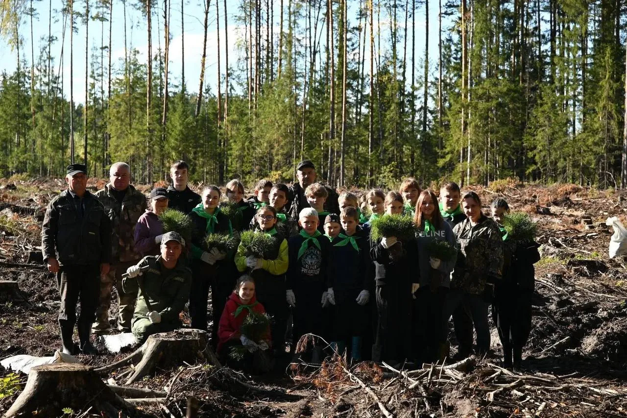🌳 А у нас в Нижнем в Выксунском лесничестве прошла акция по посадке леса