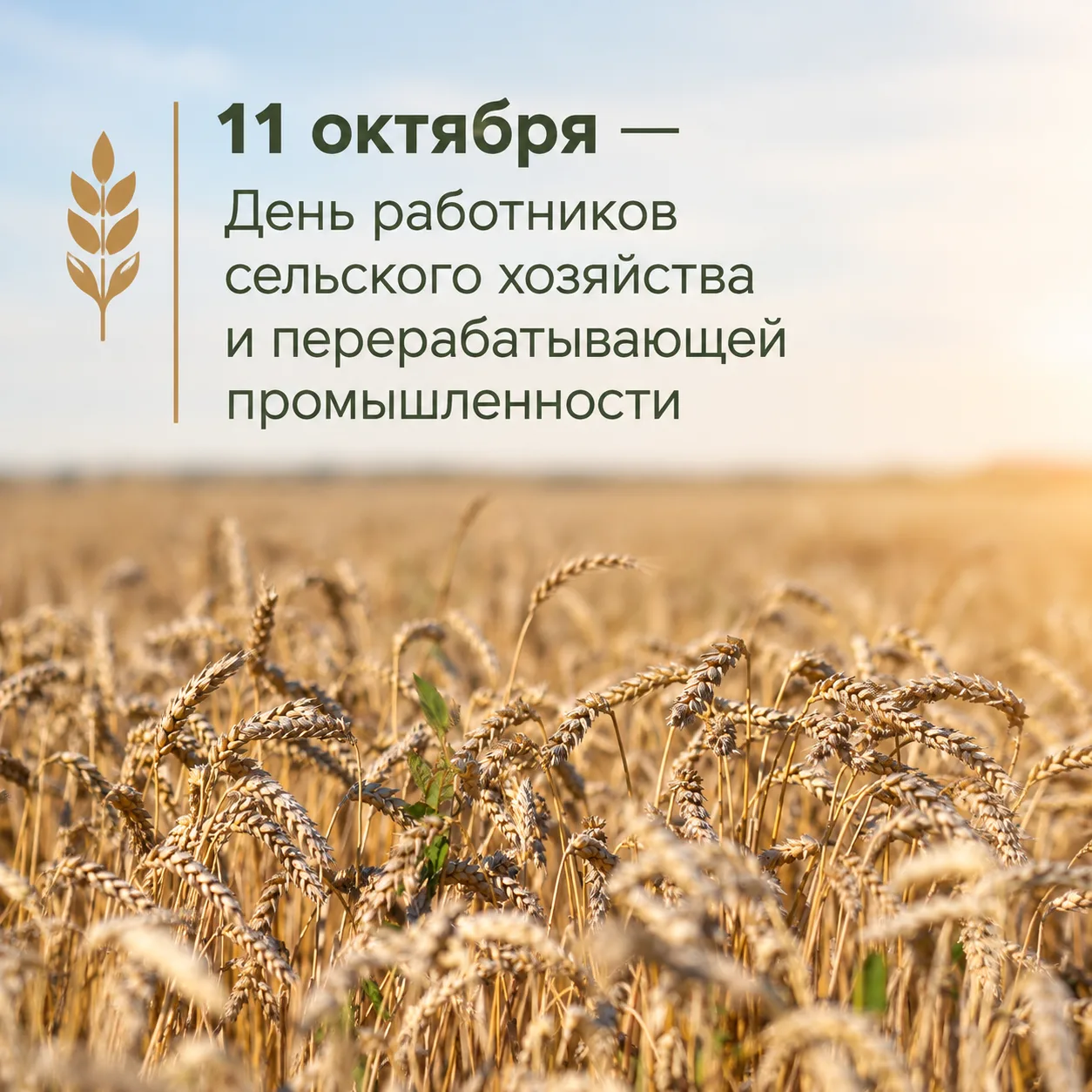 Поздравляю с профессиональным праздником аграриев Тюменского округа!