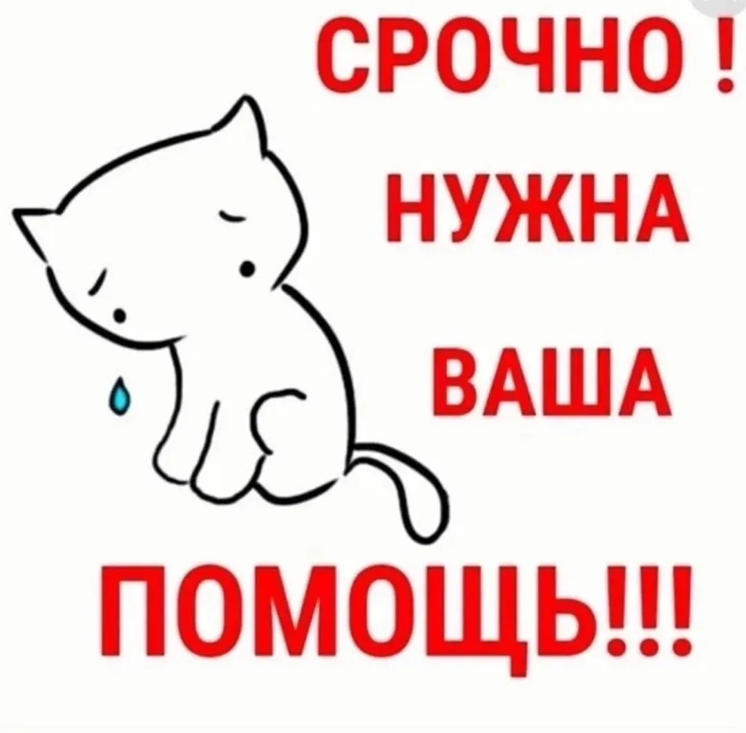 ‼️‼️Уважаемые неравнодушные!!!! Пожалуйста 🙏 давайте поможем котику 🙏🐾!!! Длительное...