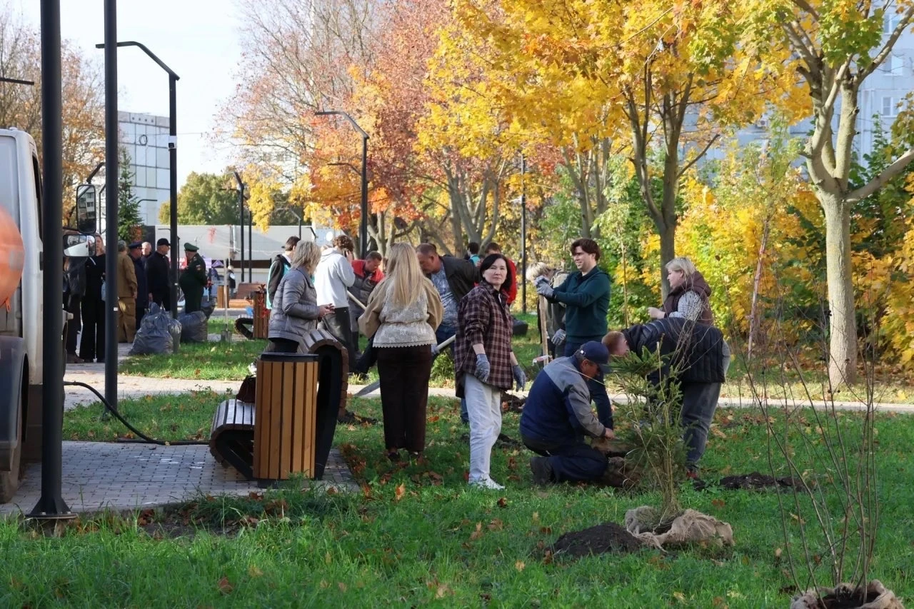 🌳 В Новомосковске озеленили сквер 239-й стрелковой дивизии