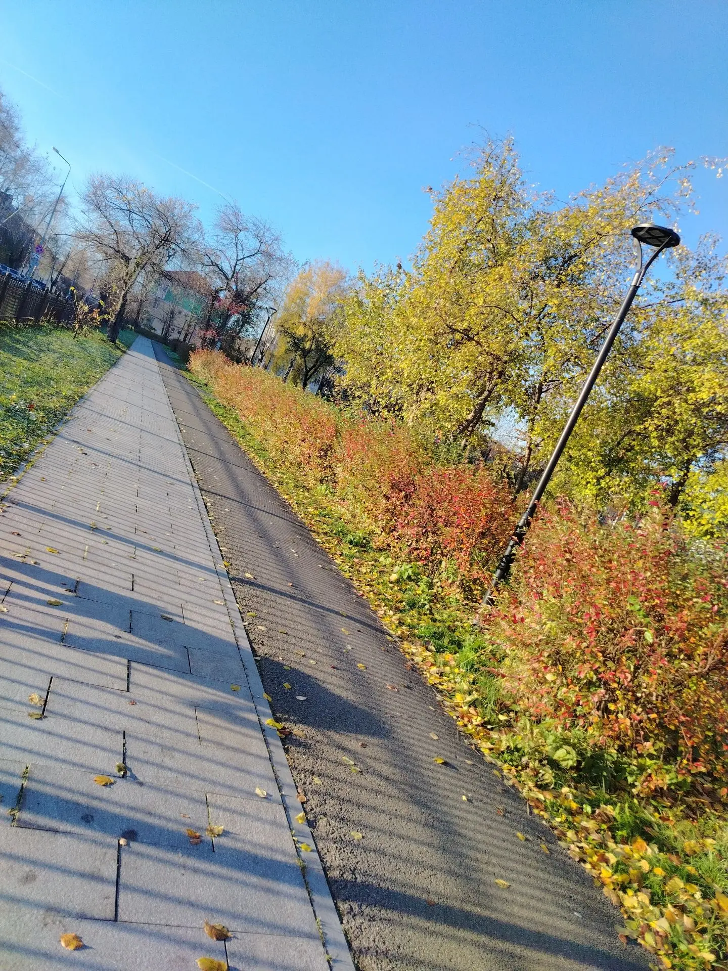 Доброе солнечное утро господа