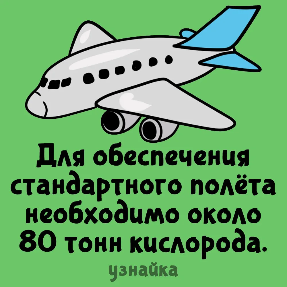 Одним из самых активных источников загрязнения атмосферы является транспорт😔