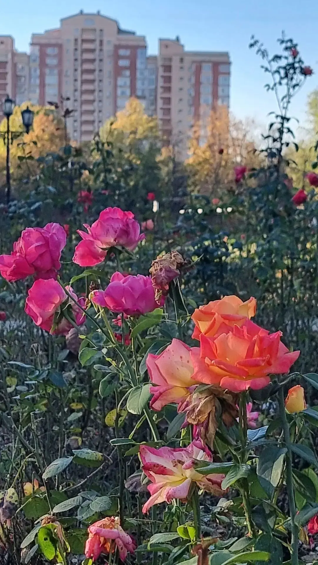 Доброе осеннее утро.