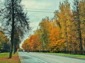 Осень в Видном 🍁