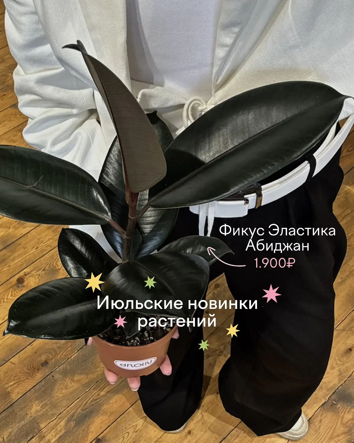 Вчера мы показали часть новой поставки, а сегодня знакомим с остальными 🌿