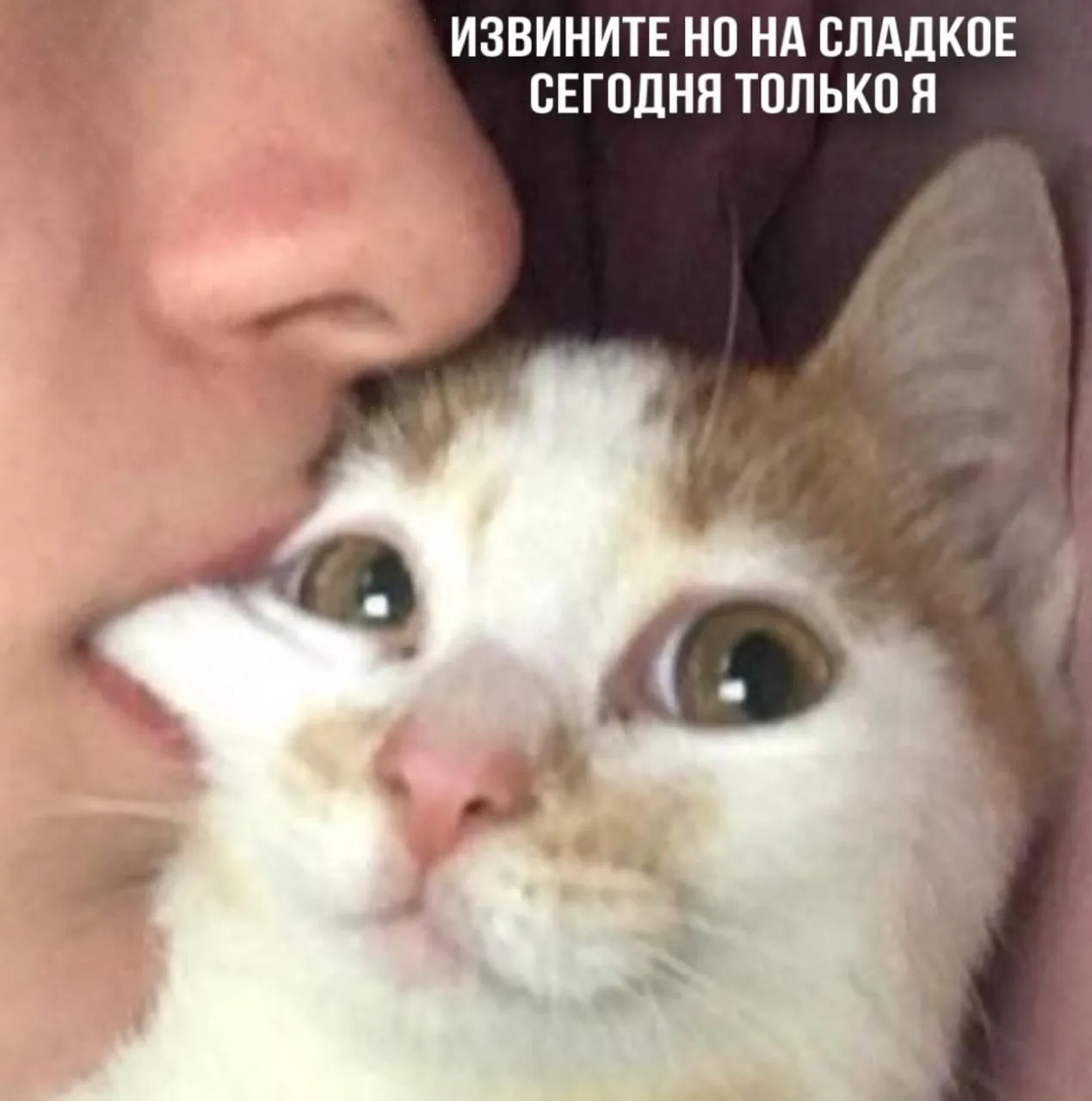 Отправь это сладкой булке 🍭