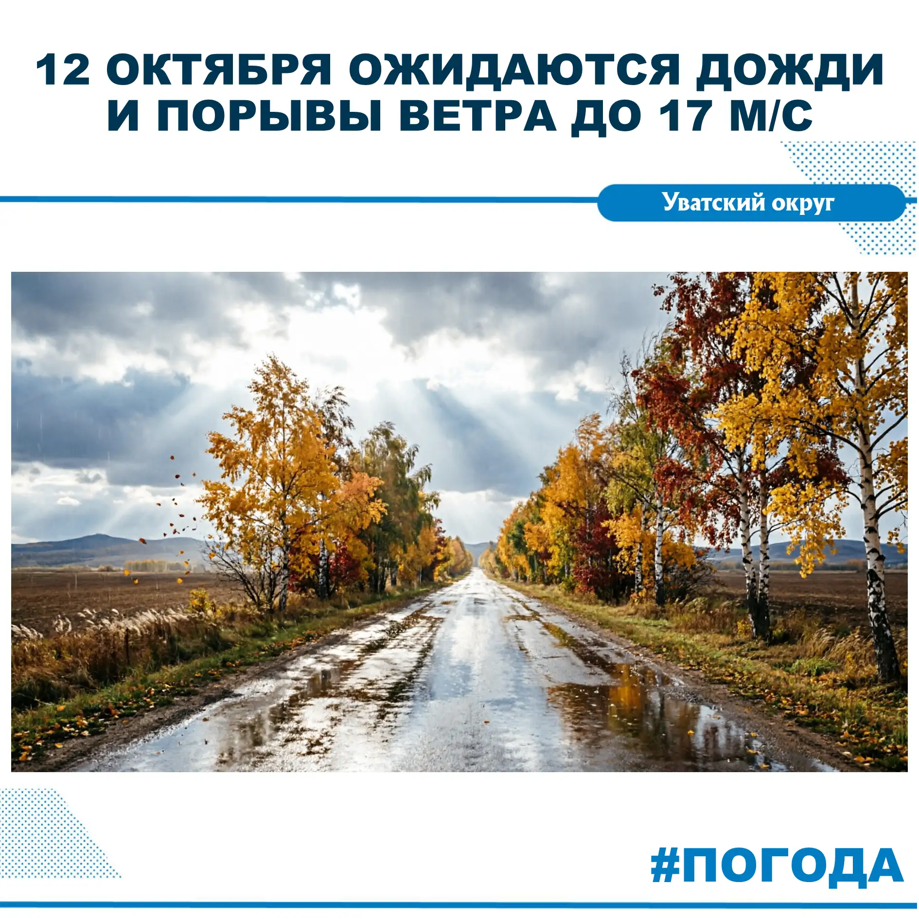 💨 Облачно с прояснениями ожидается по югу Тюменской области 12 октября. Днем в некотор...