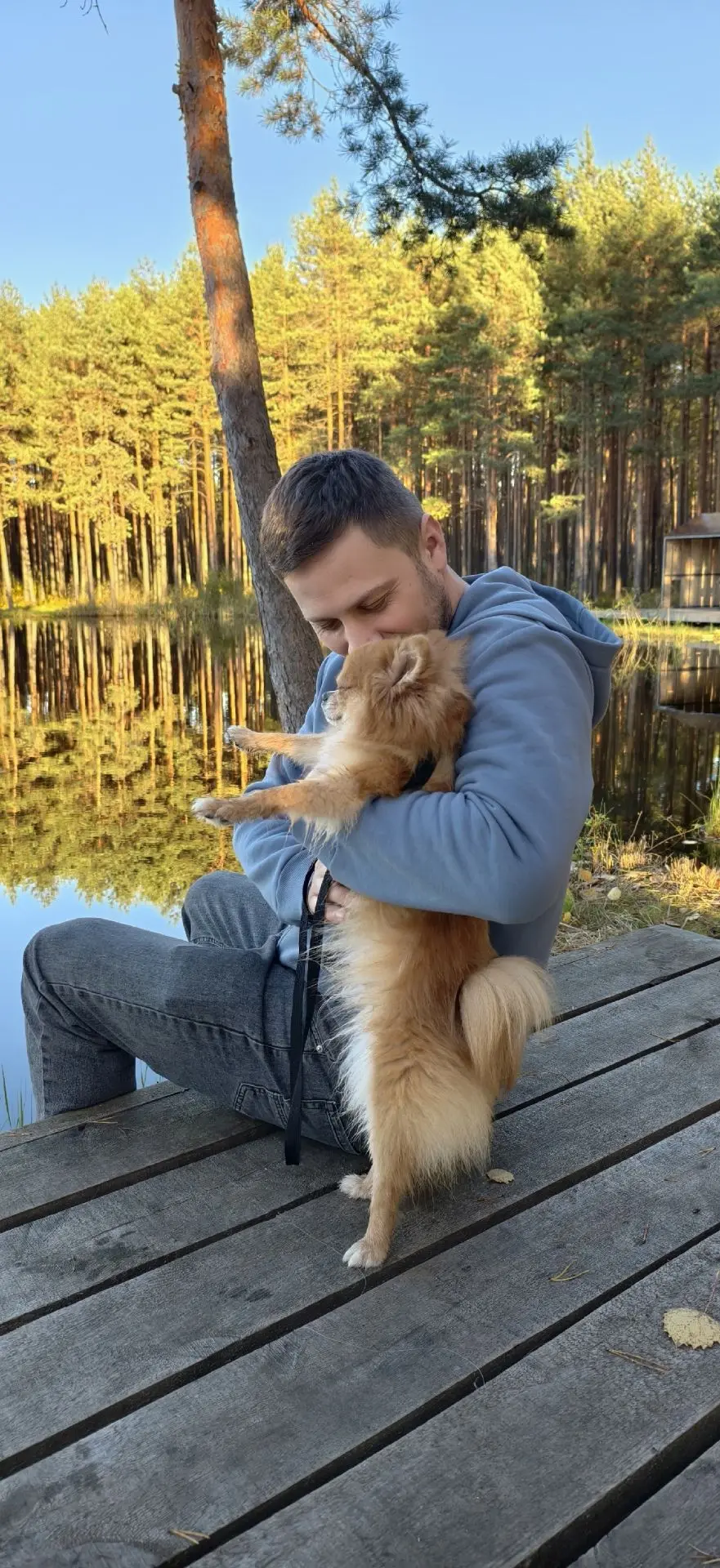 В лесу, где сосны до небес,