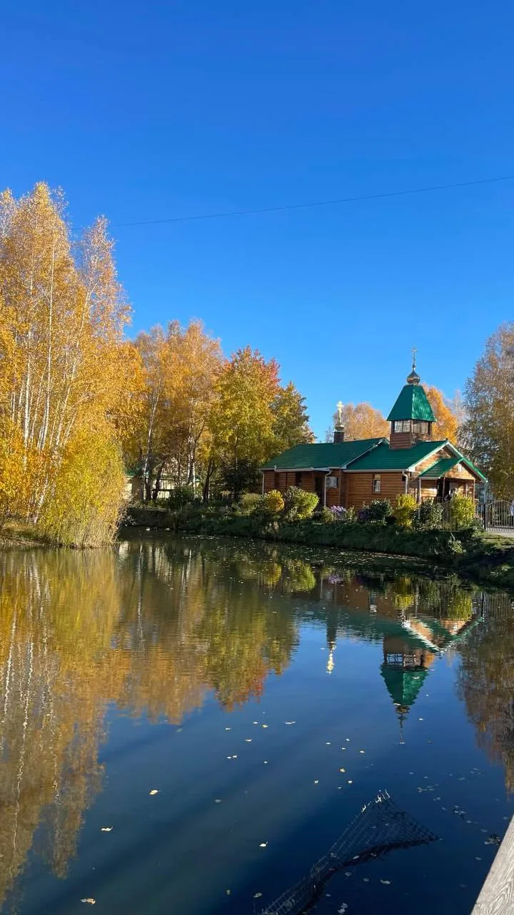 Осенние зарисовки 🍁✨