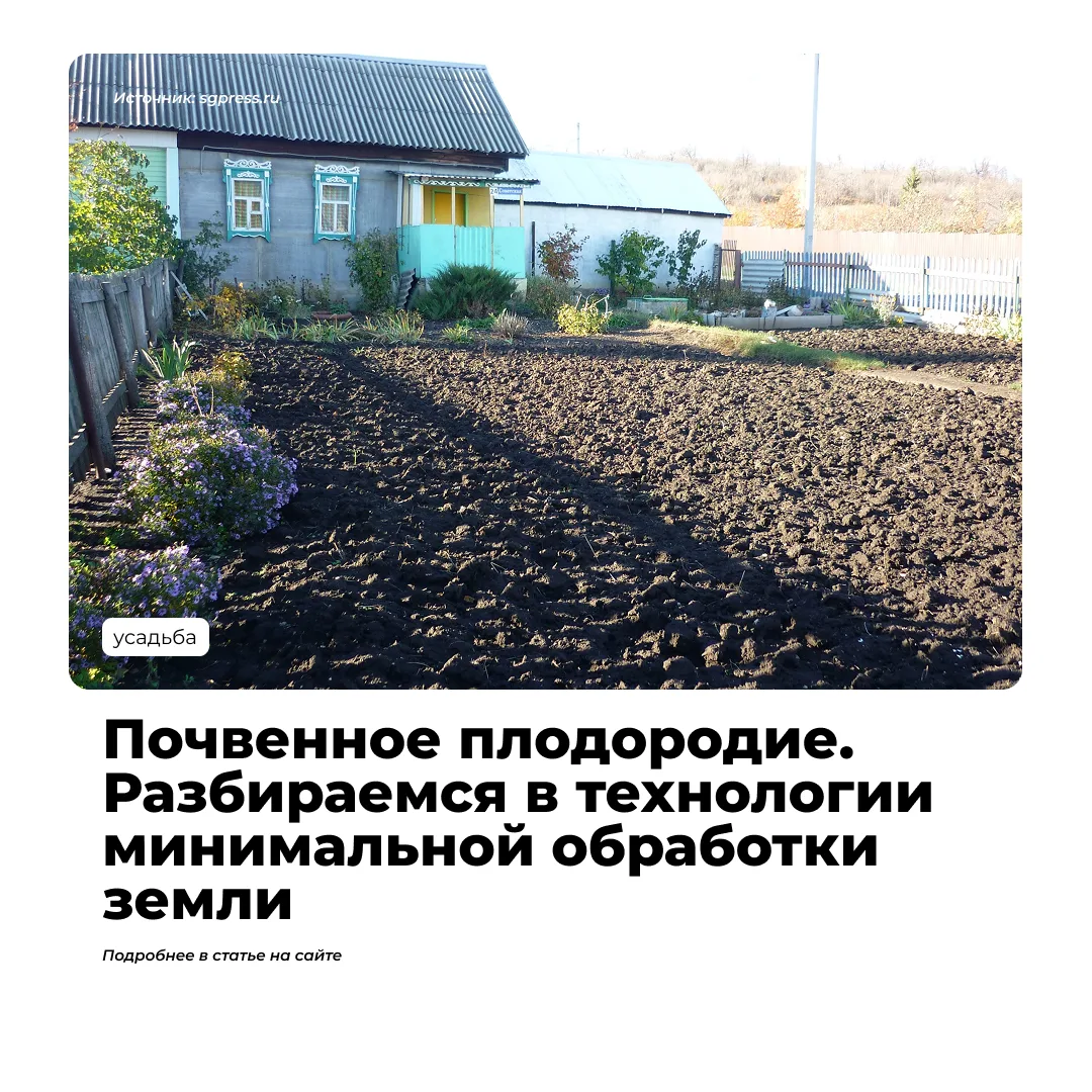 Овощи собраны, освобождаем огород от растительных остатков и готовим к уходу в зиму. Од...