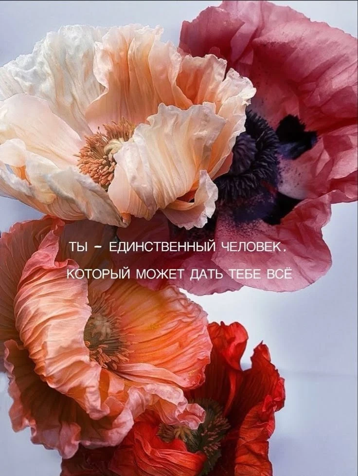 🥰 Оставляйте реакции, если понравилась открытка и делитесь с близкими ❤️