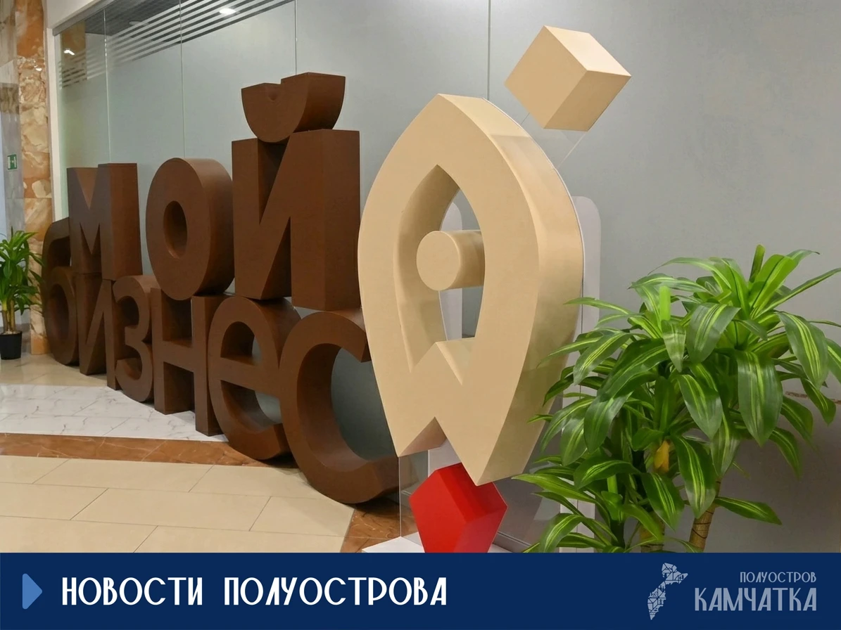 От логопедов до робототехники: на Камчатке поддержали семь социальных проектов