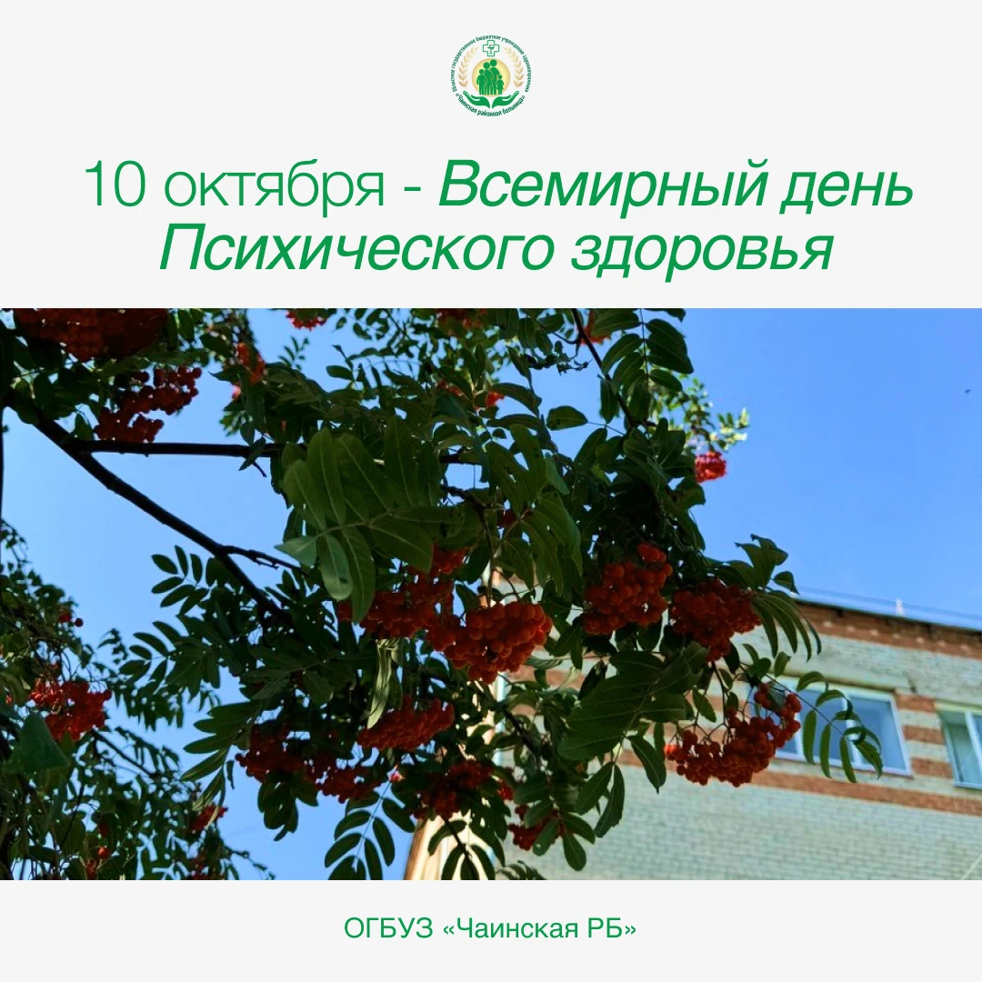 Снимаем осеннюю хандру яркими красками: сегодня Всемирный день психического здоровья 🌈🍁