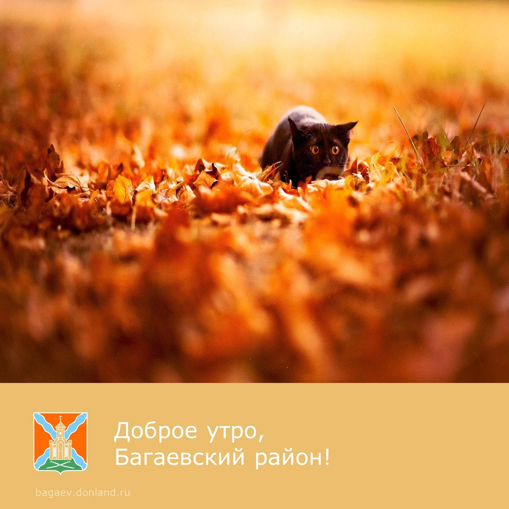 ☀️ Доброе утро, уважаемые жители Багаевского района!