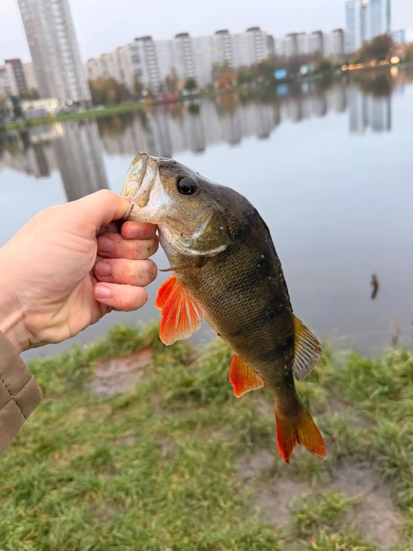12.10.2026