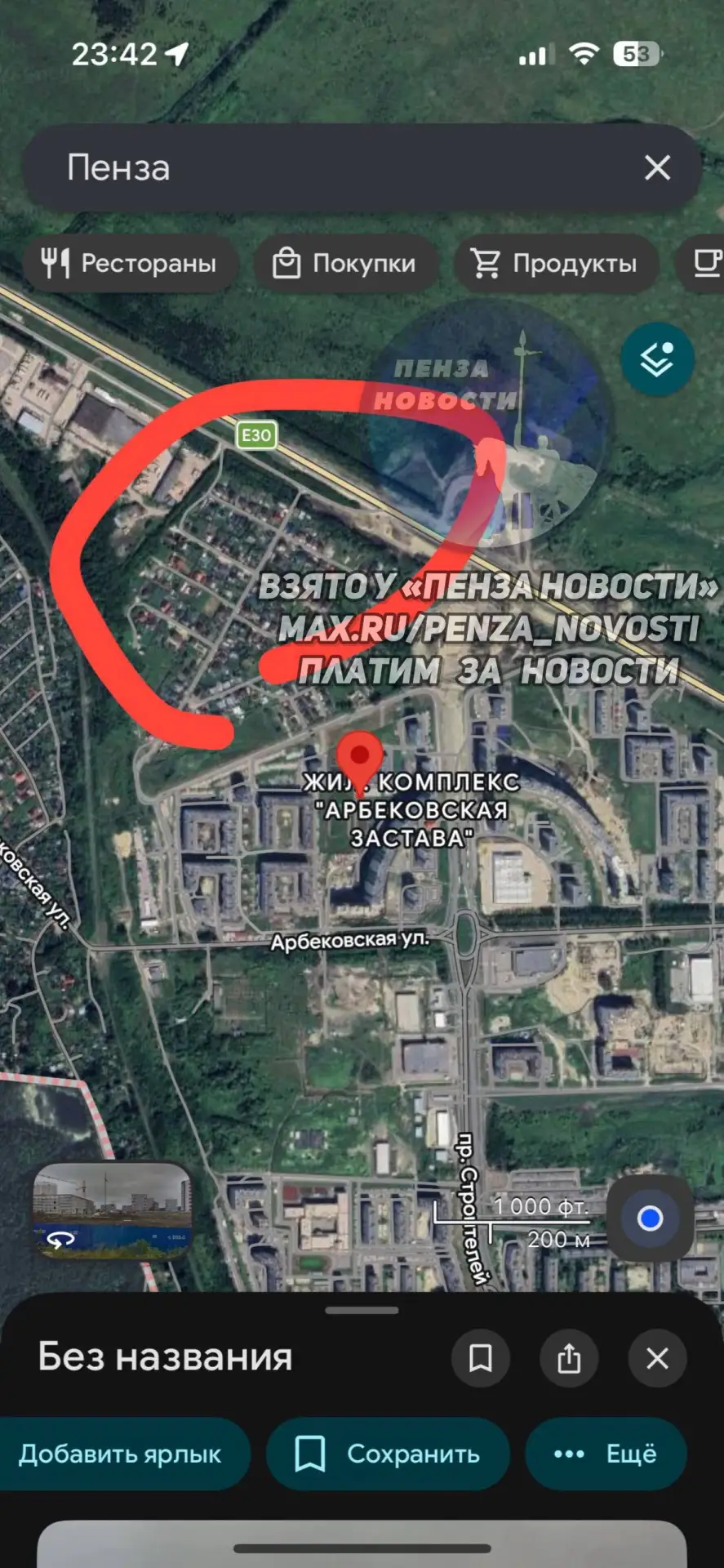 🐗 Стадо кабанов перешло дорогу в Пензе