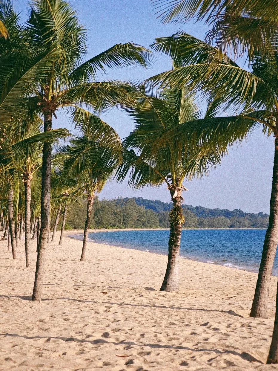 🌴⛱️ Вьетнам - протяженная страна с разной сезонностью, где всё зависит от курорта.
