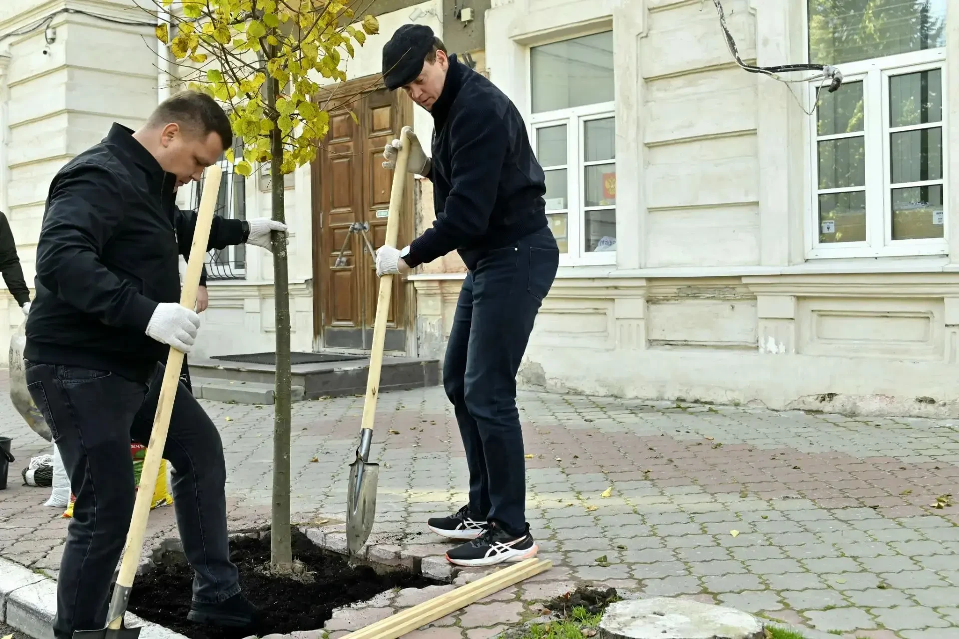 🌿 Озеленение в Рязани продолжается