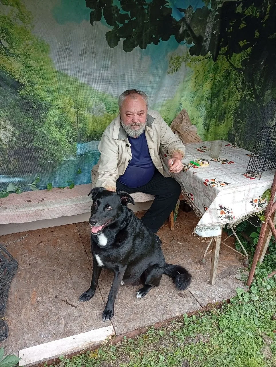 Несколько лет назад Андрей с семьей забрали щенка из приюта, назвали его Бимка. Купили ...
