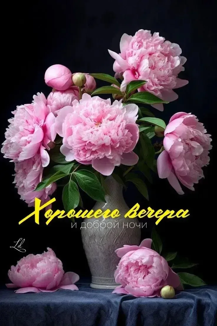 💐ЖИВАЯ СКАЗКА 💐