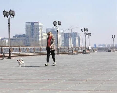 🚶‍♂️ В Тюменской области запускают бесплатные «Сибирские прогулки» для всех
