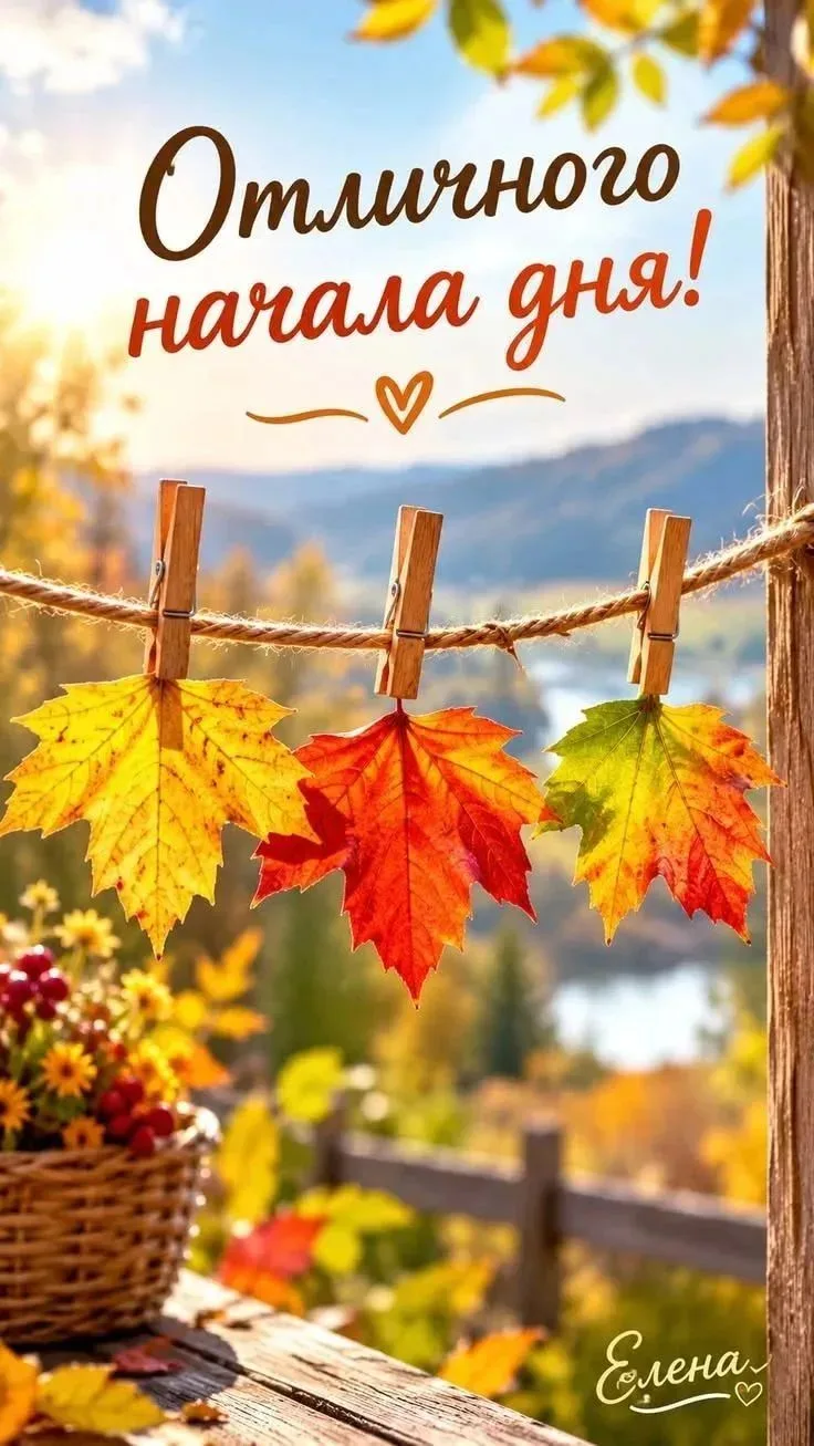 Подписаться 🍁