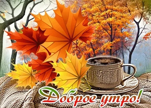 👉 ОТКРЫТКИ 💗 С добрым утром!