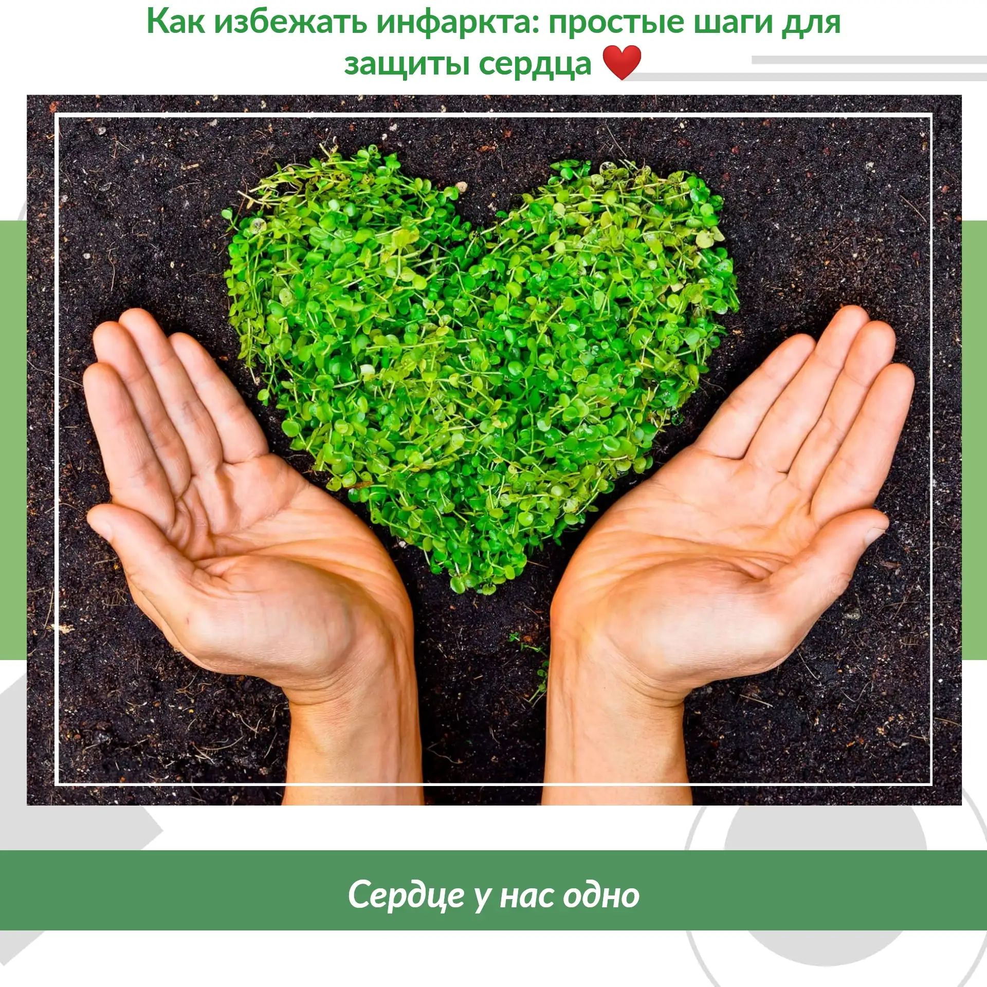 Как избежать инфаркта: простые шаги для защиты сердца ❤️