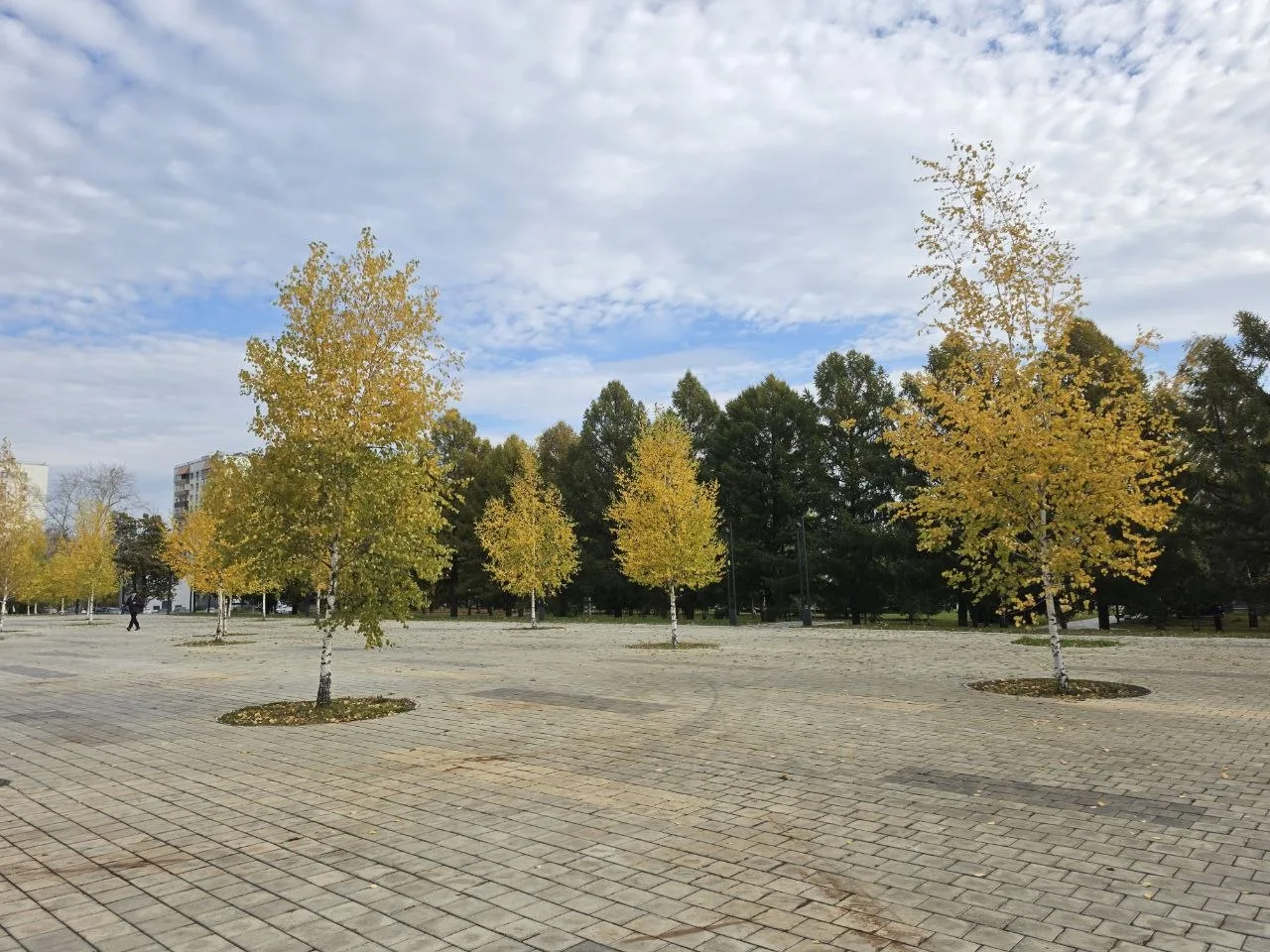 Сквер Лемаева - ещё один островок красивой осени 🍁