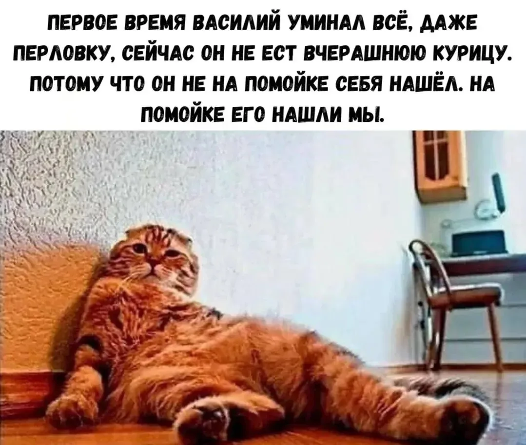 Подписаться✅