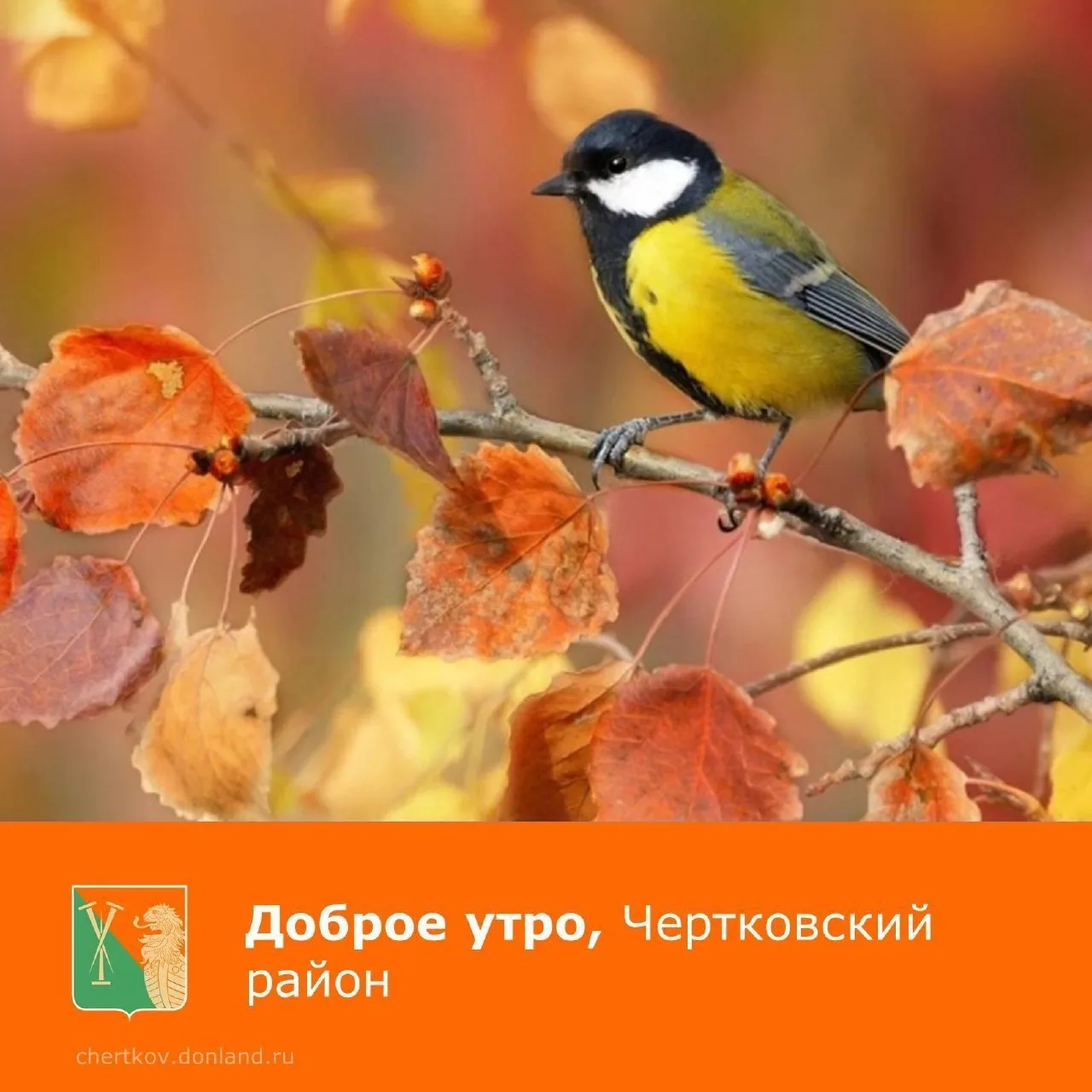 ☀️ Пусть каждый день сопровождается успешными делами, хорошим настроением и окружением ...