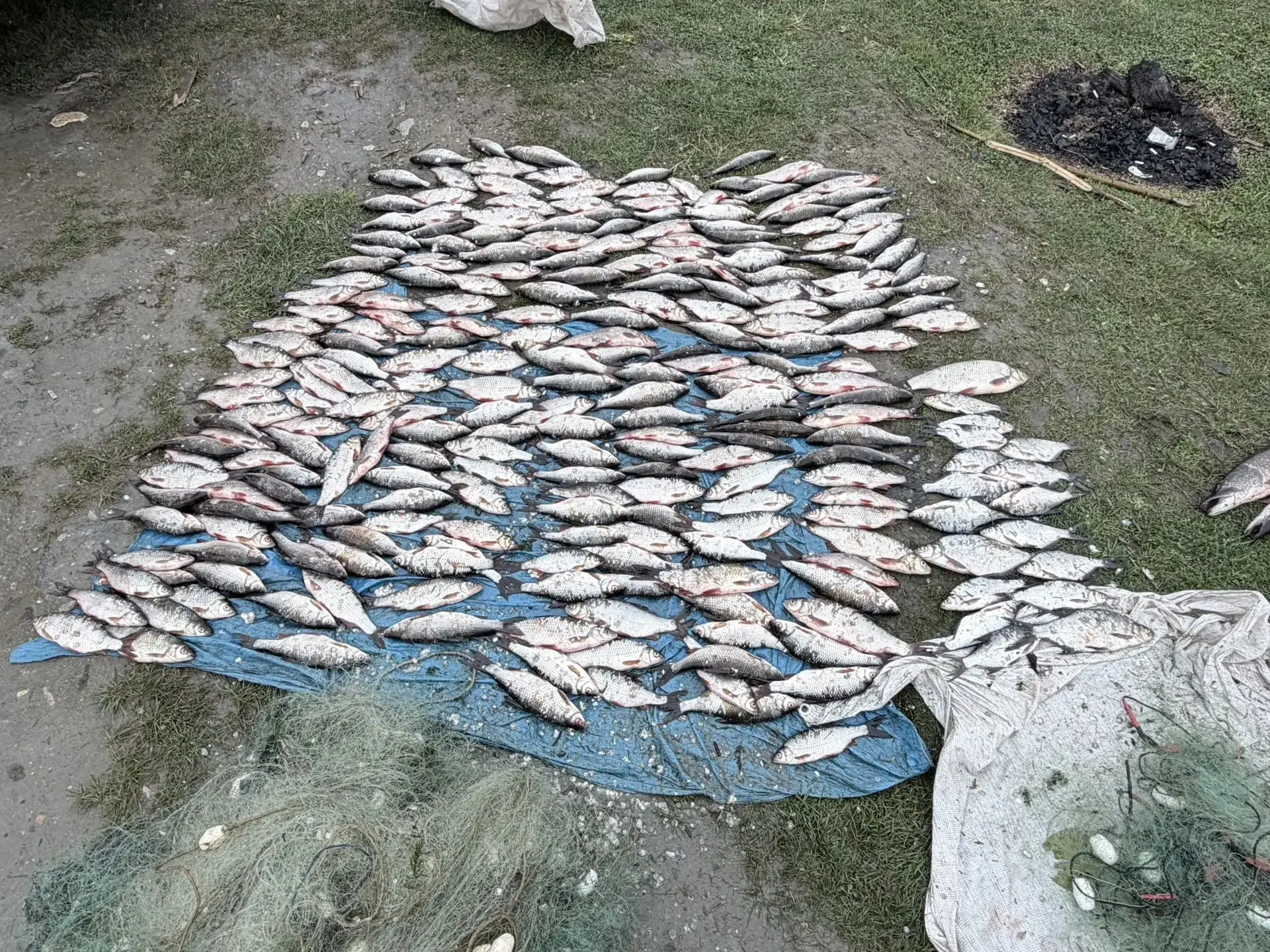 👮‍♂️🐟Сотрудники Северобайкальского ЛО МВД России на транспорте задержали браконьера с...