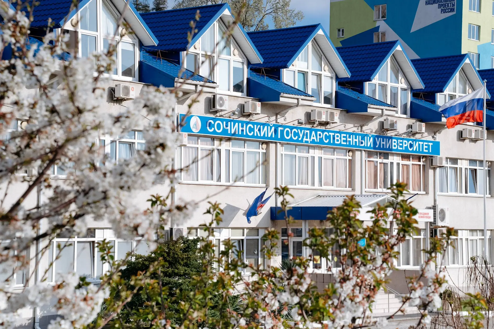 🩵 Доброе утро, СочиГУ!