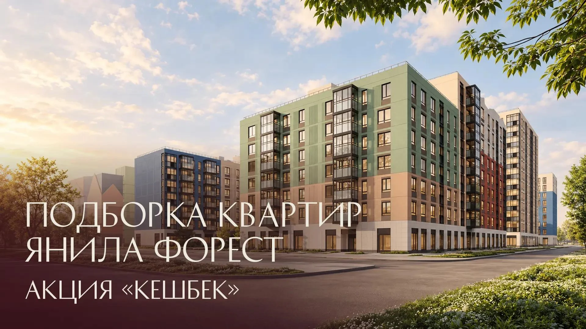 ЯНИЛА ФОРЕСТ: подборка по акции «Кешбэк»