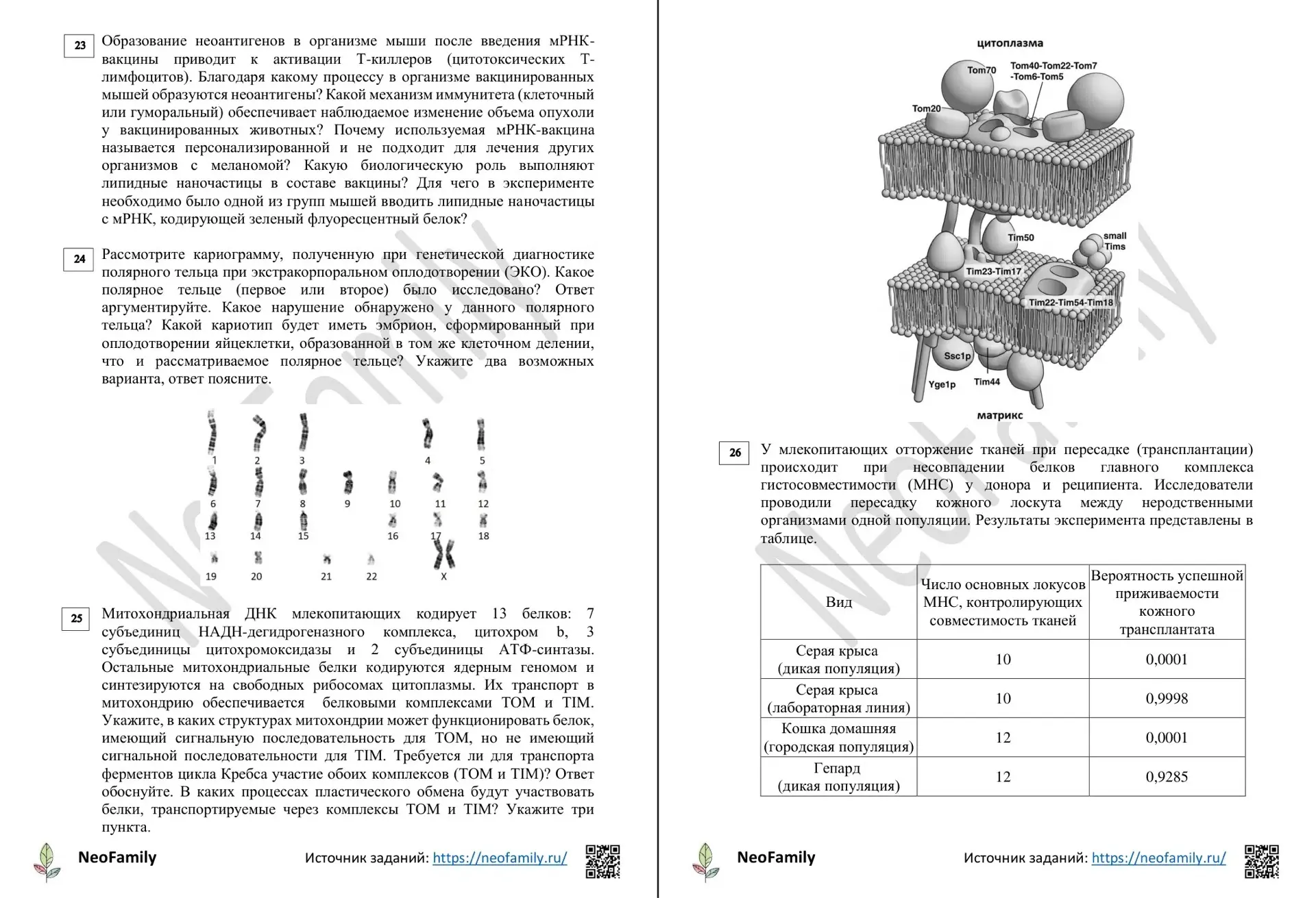 ⚡ АВТОРСКИЙ ПРОБНИК №2 (ЕГЭ-2027)