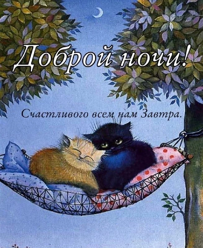 Спокойной ночи! 🌙