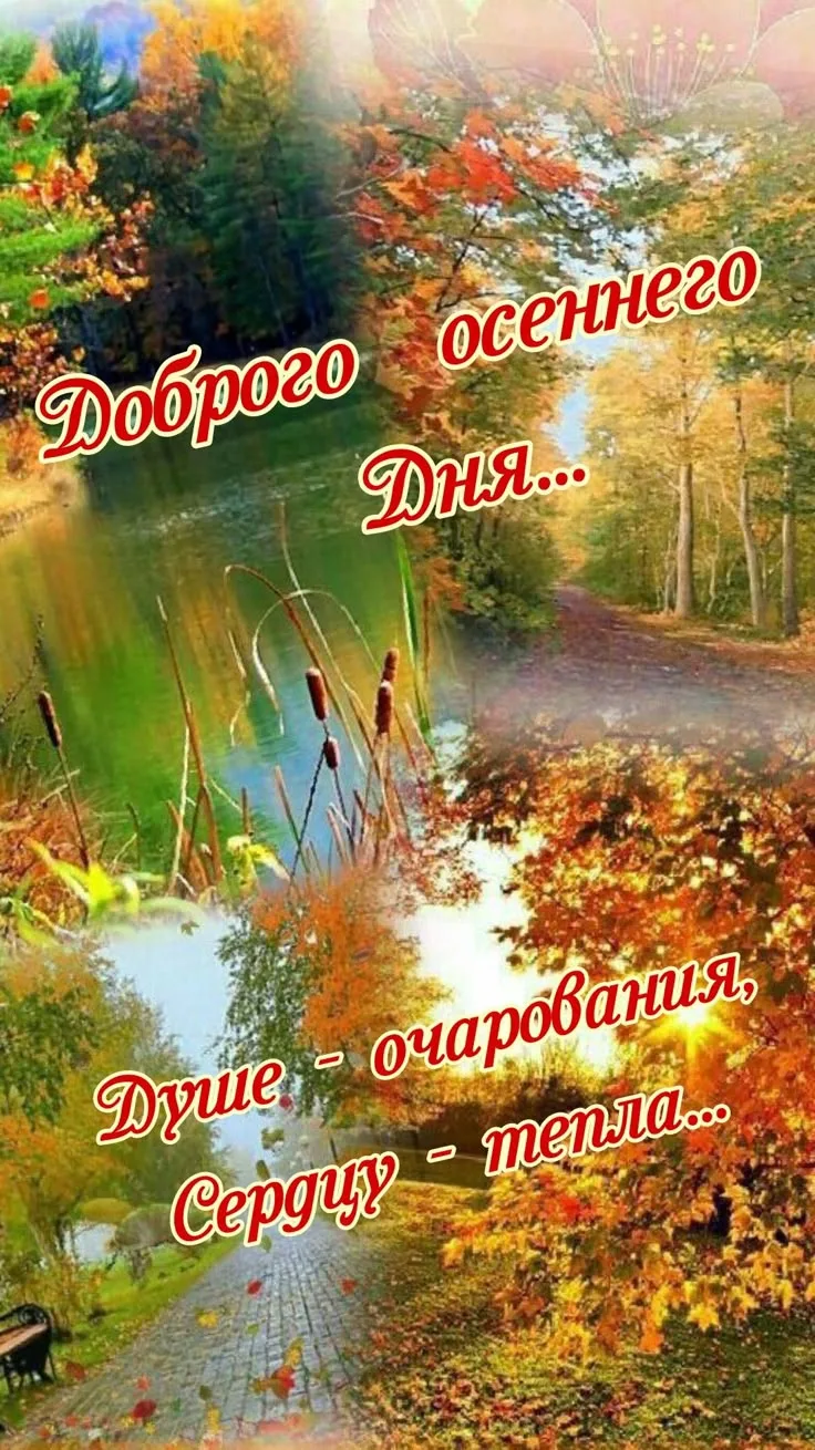 Добрейшего утречка друзья, хорошего вам дня....