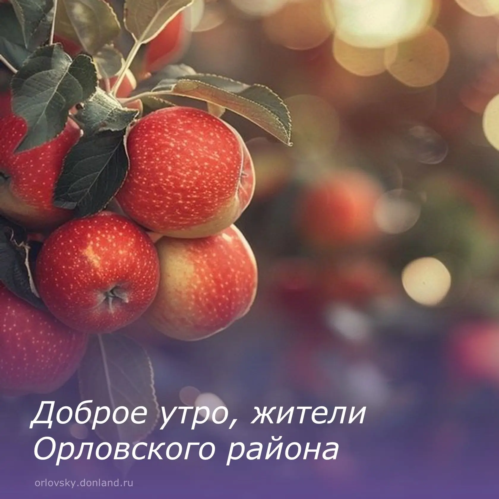 💐Доброе утро, земляки!