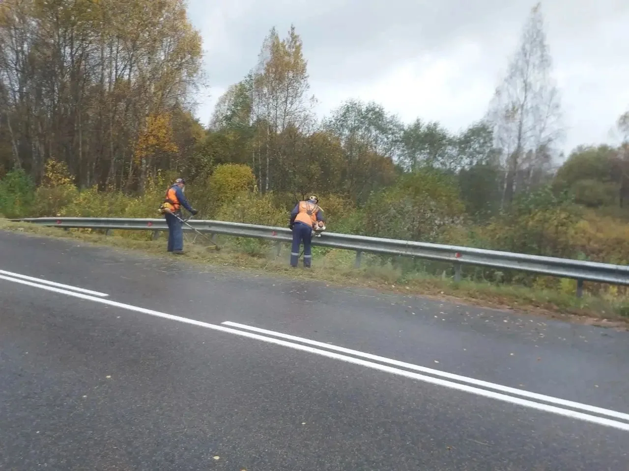 Дорожные службы области взялись за полосы отвода