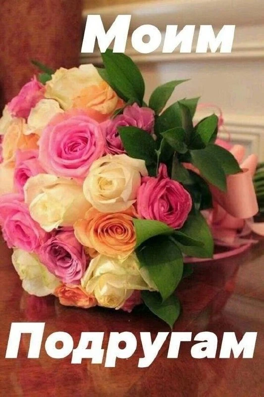@tekstilshik_inf
