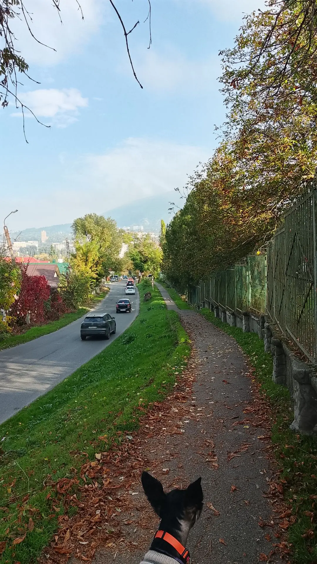 Доброе и волшебное утро! 🍁