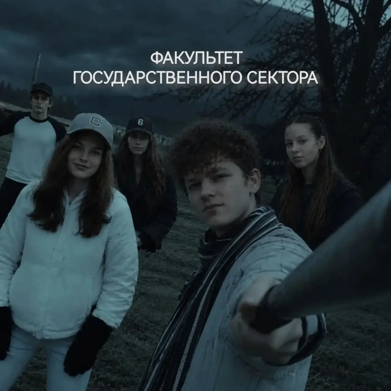 🧛‍♂️ Сумерки: Факультет государственного сектора 🐺
