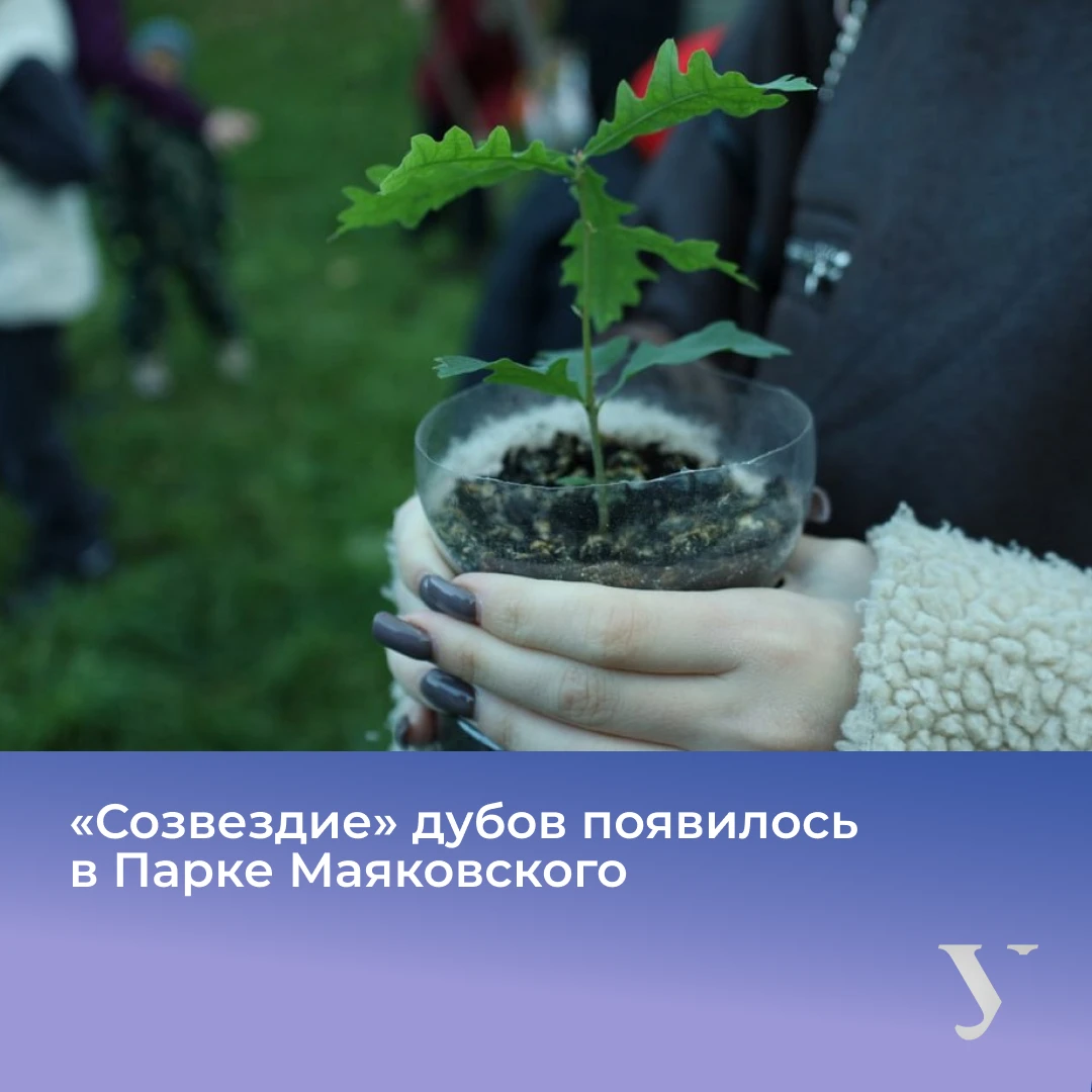 Преподаватели и студенты УрФУ вместе с горожанами высадили в парке Маяковского «звездны...